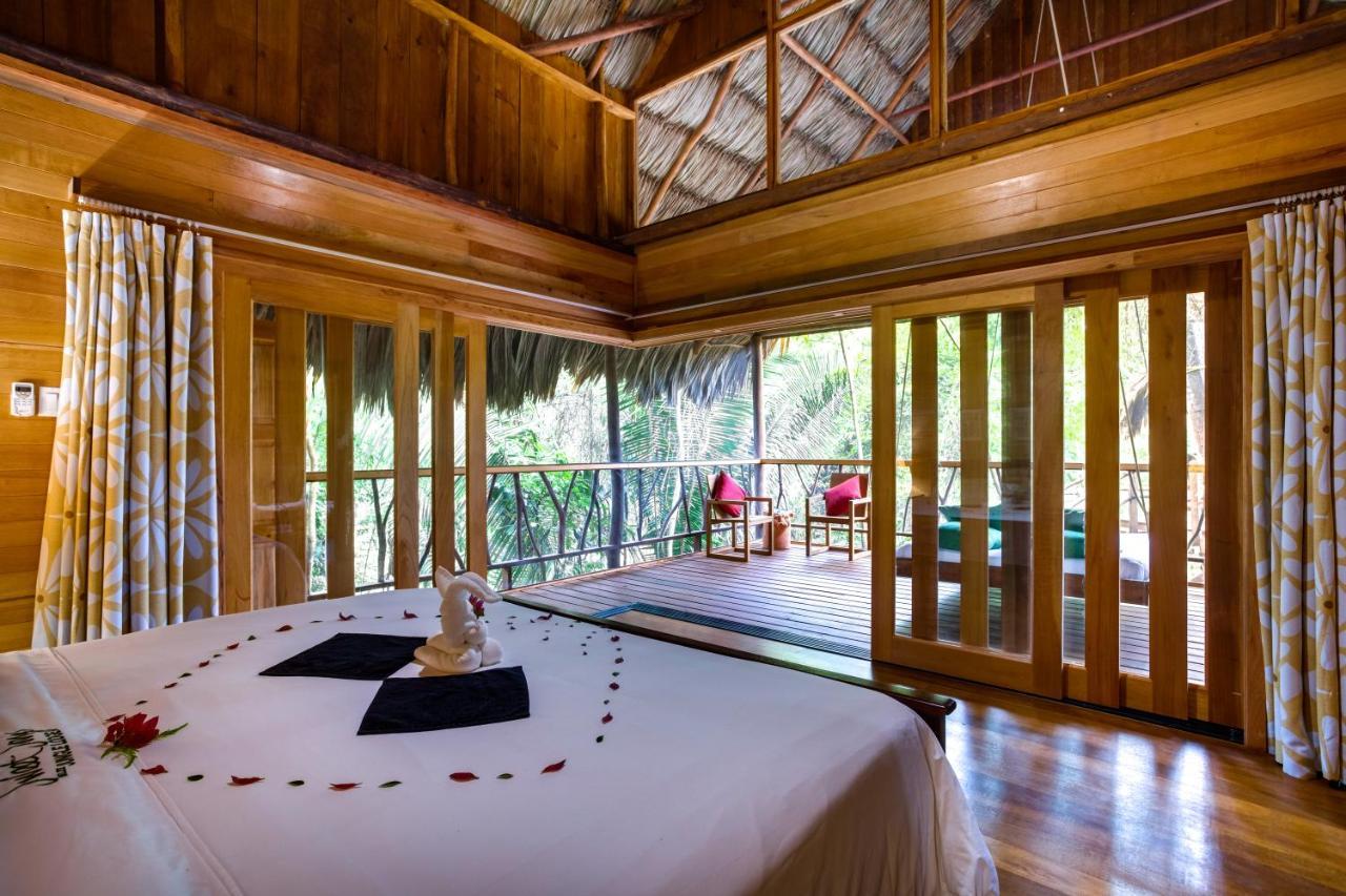 Sweet Songs Jungle Lodge سان إجناسيو المظهر الخارجي الصورة