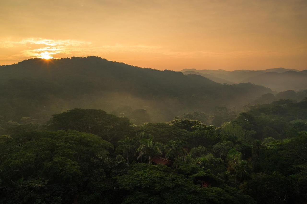 Sweet Songs Jungle Lodge سان إجناسيو المظهر الخارجي الصورة