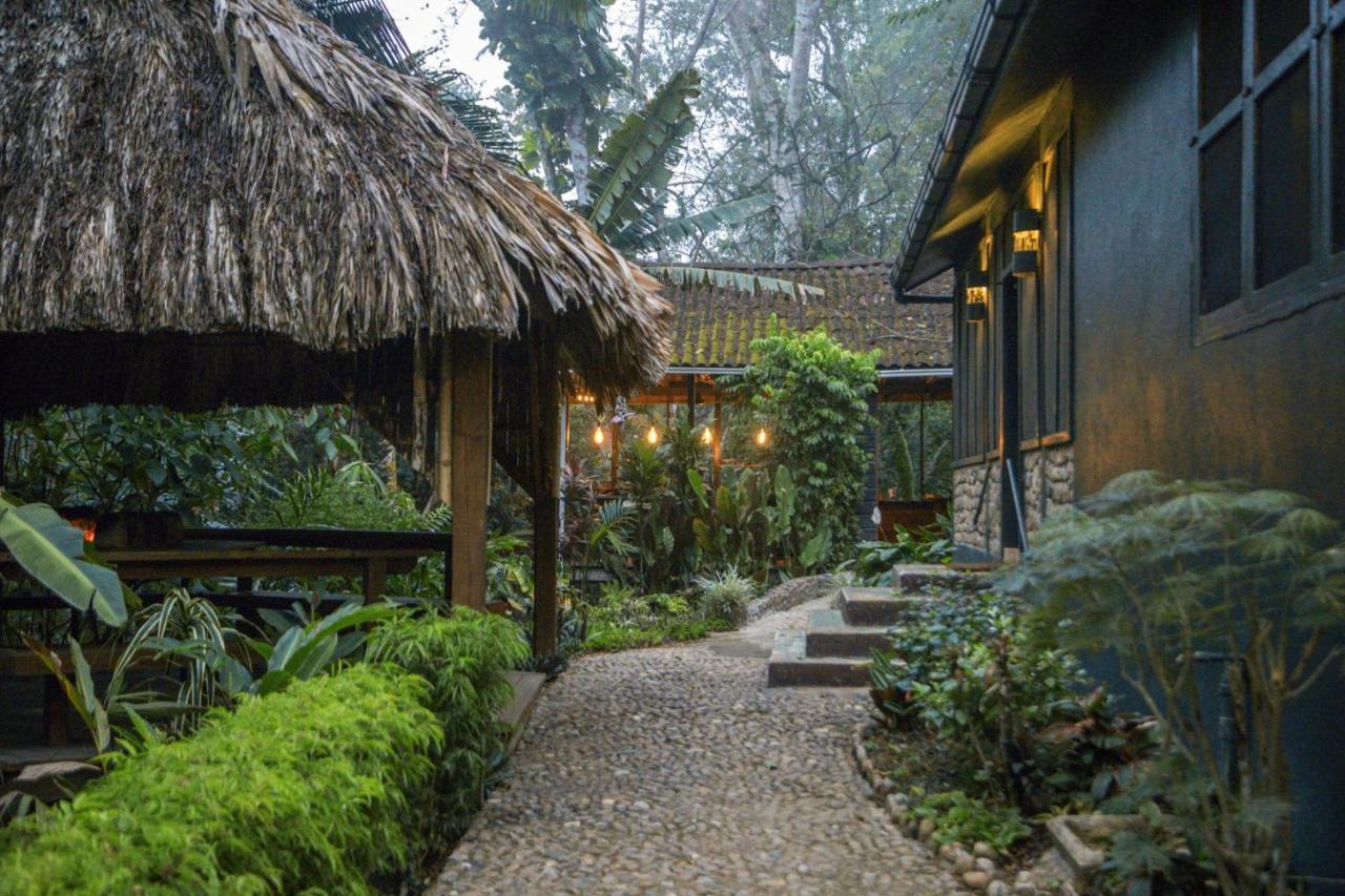 Sweet Songs Jungle Lodge سان إجناسيو المظهر الخارجي الصورة